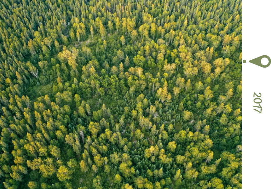 Mon Lit Cabane: Commitment and Quality